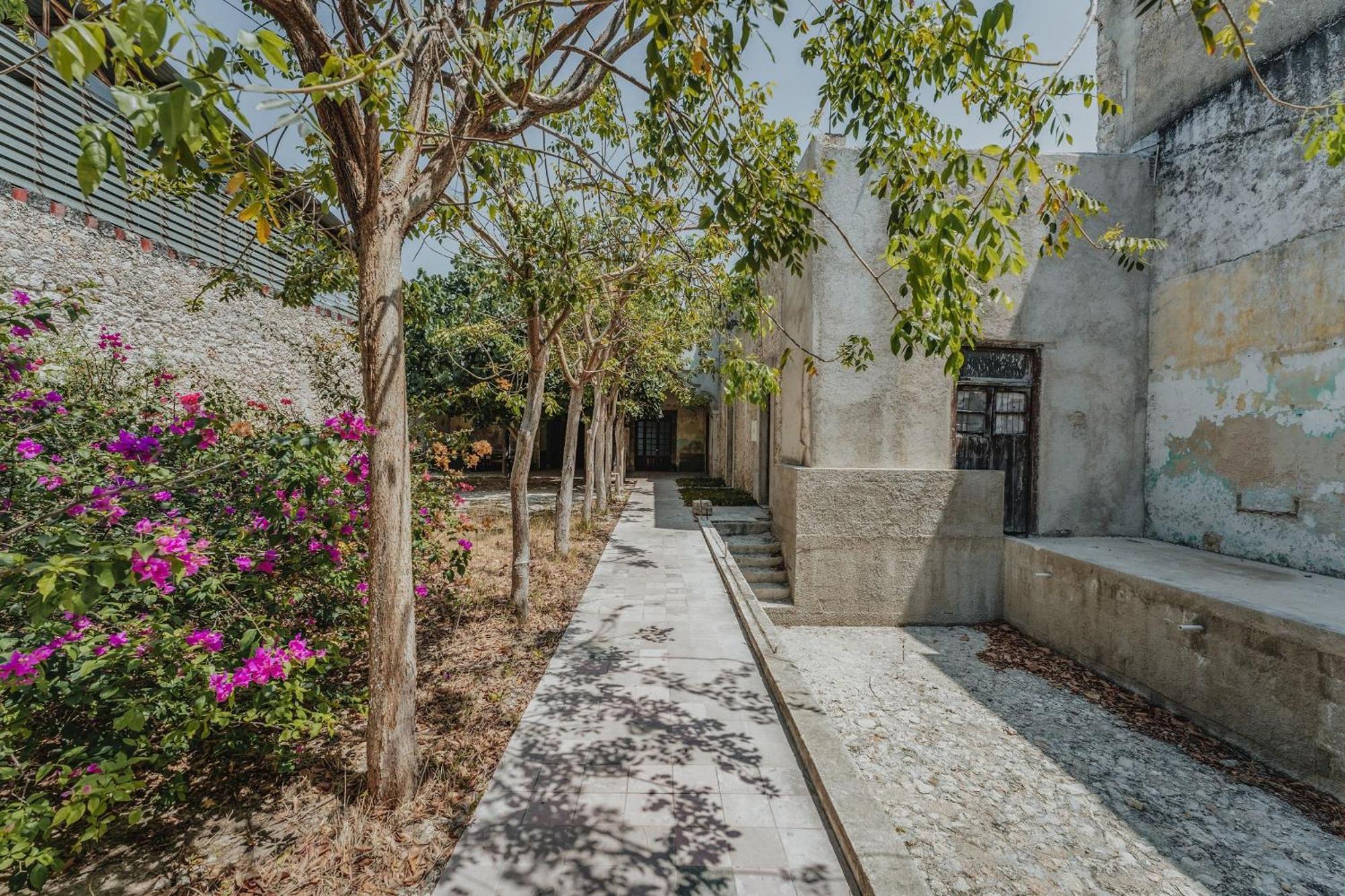 Habitacion Privada, 5 Min Catedral Mérida Εξωτερικό φωτογραφία